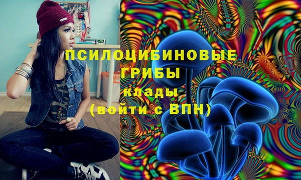 дживик Михайловка